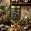 Green 7 Crocodile Balm Original Hot Formula 15 gm